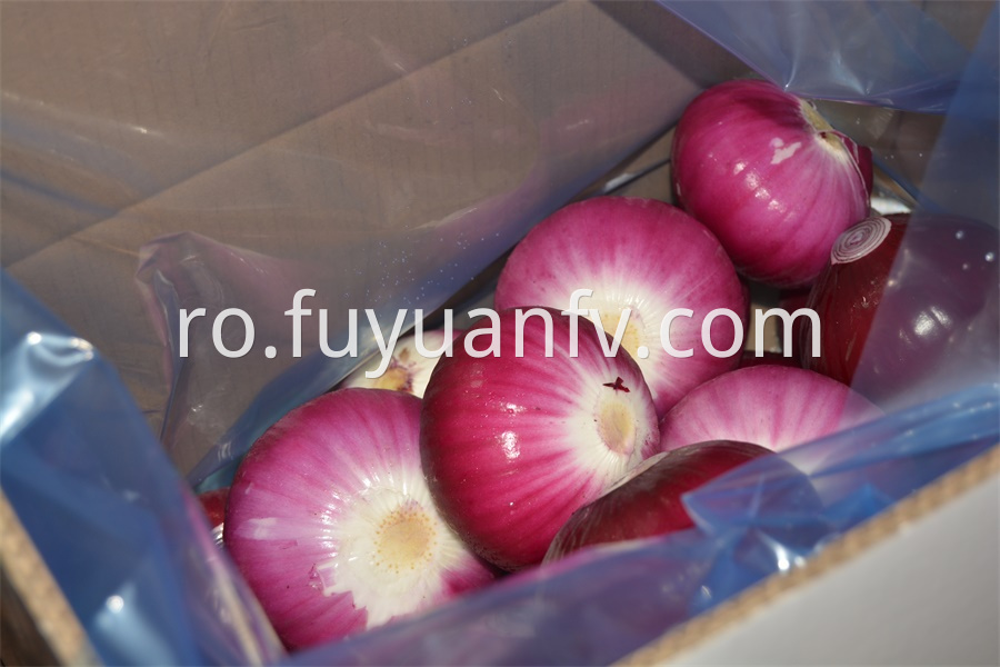 Red Peeled Onion